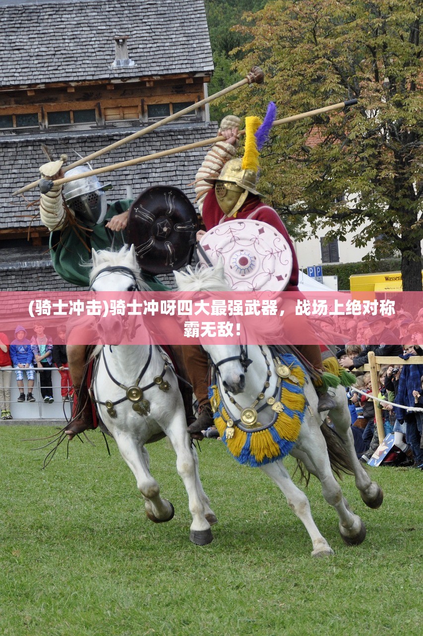 (国王与冒险家流派推荐哪个)国王与冒险家流派推荐，探寻最佳组合，开启奇幻之旅