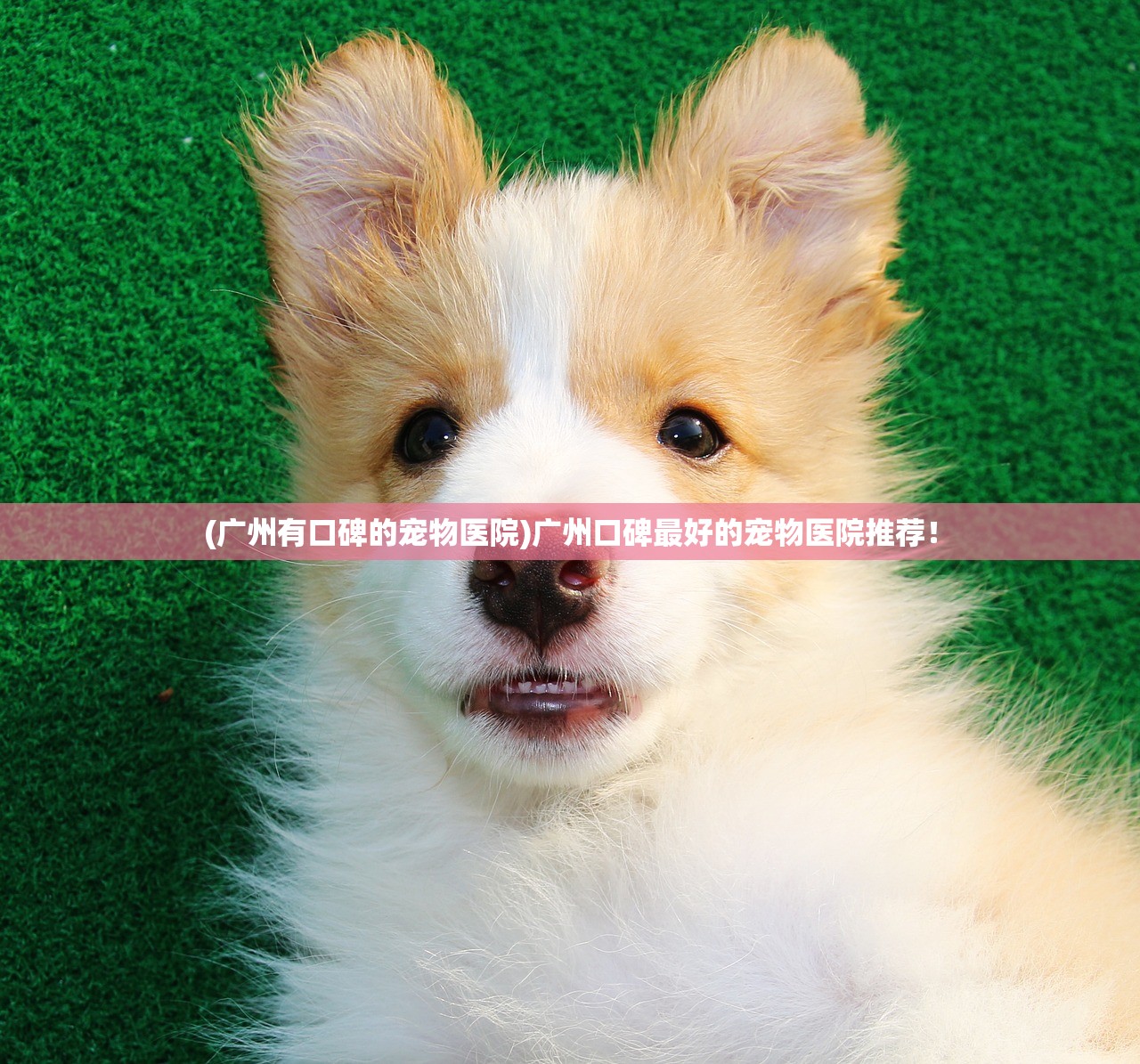 (王者荣耀星之破晓什么时候上线应用商店)王者荣耀星之破晓上线时间揭秘，期待与猜测交织的新篇章
