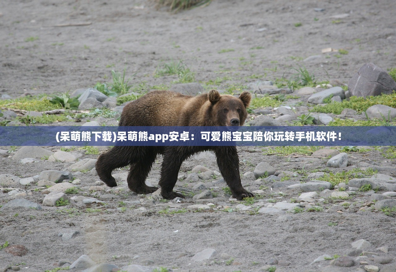 (启源女神关服了没)启源女神游戏是否已关服？游戏运营现状解析