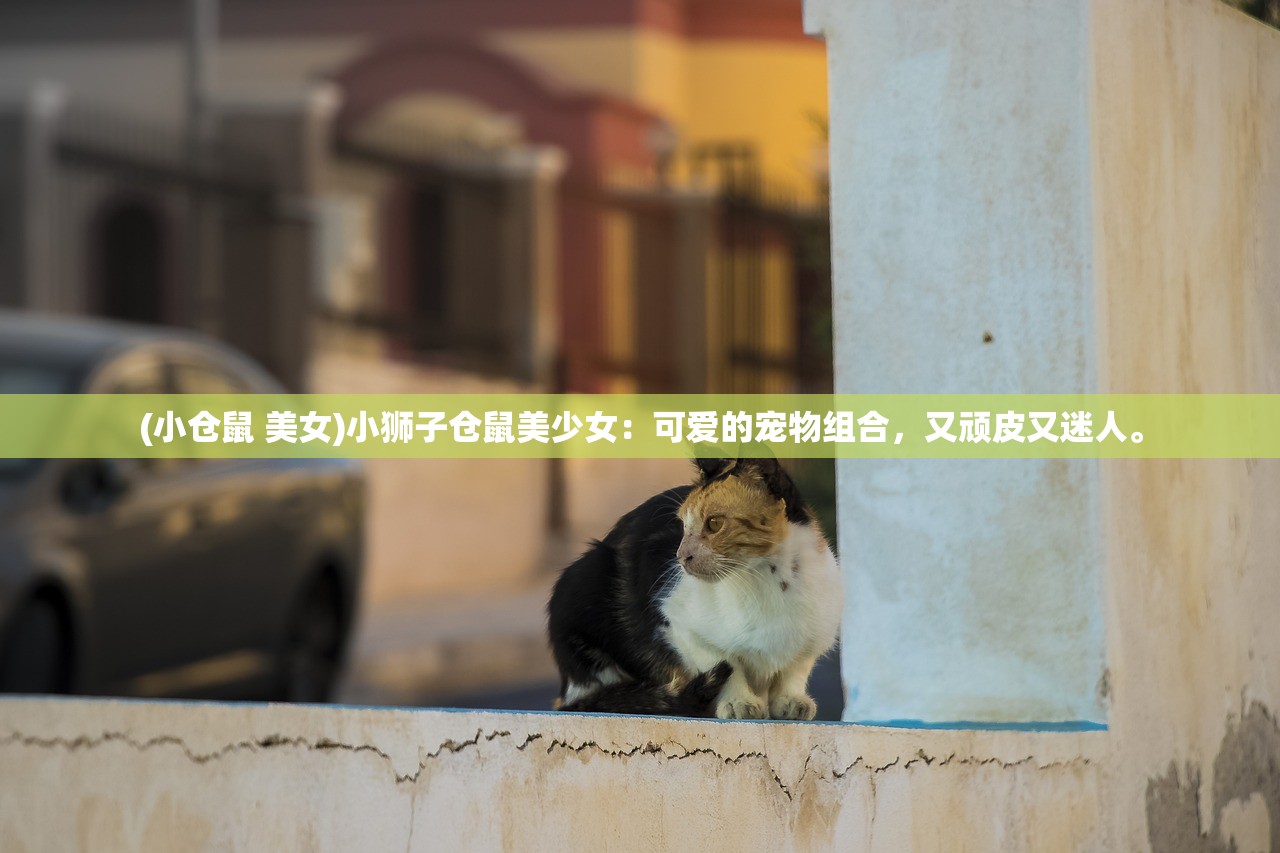 (逆天斩神录 梦中入梦1)逆天斩神，神话背后的故事与挑战