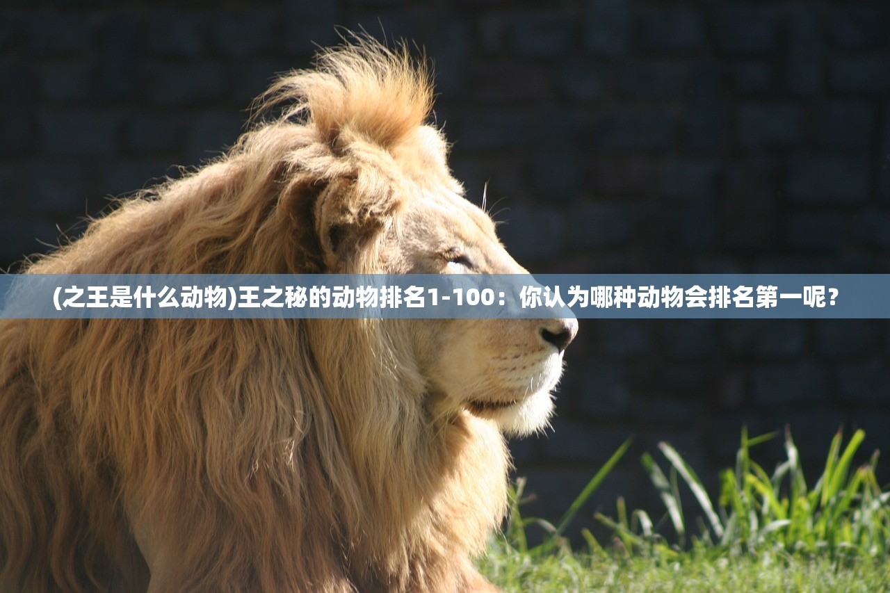 (帝王霸业传奇手游官网)帝王霸业，权力、战略与统治的艺术