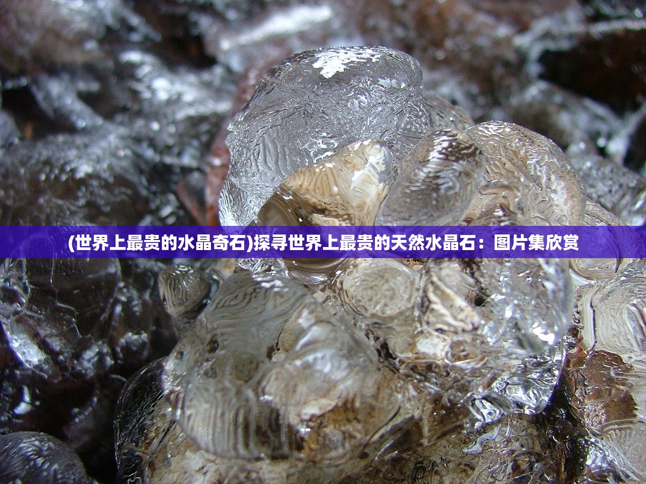 (robokiller是什么软件)Robokiller，智能机器人的崛起与挑战