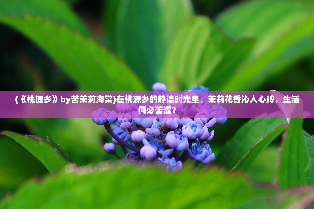 (一刀传世最强5人组符咒选择)一刀传世最强5人组，传世经典，策略无敌