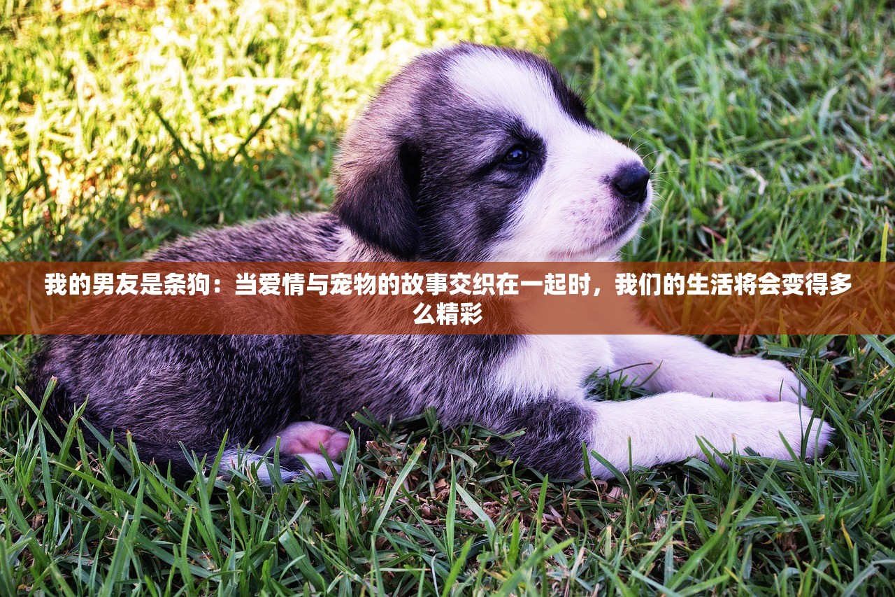 (墨剑江湖采花大盗任务攻略大全)墨剑江湖采花大盗任务攻略详解及常见问题解答