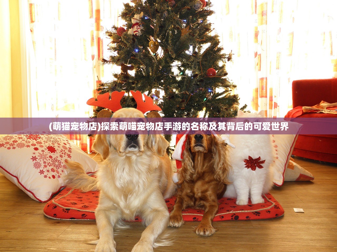 (跑酷老奶奶无限金币钻石版介绍)跑酷老奶奶无限金币钻石版，全新体验与挑战