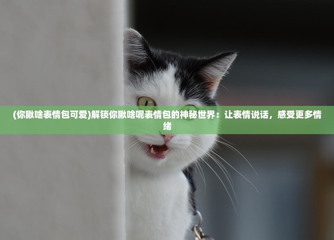 (机甲战队最强机甲排名)揭秘机甲战队，探寻最强机甲的荣耀之路