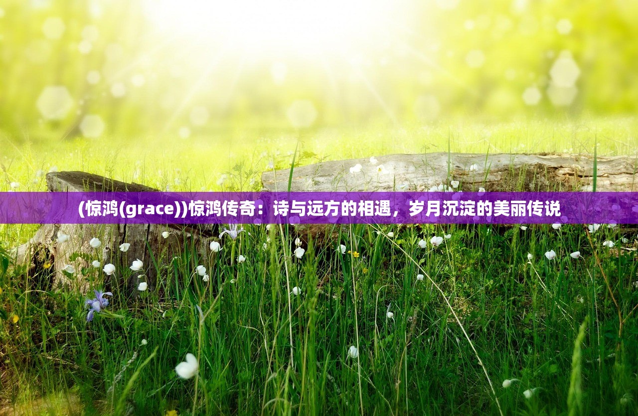 (动物园红包版2024年最新消息是什么)动物园红包版2024年最新动态与前景展望