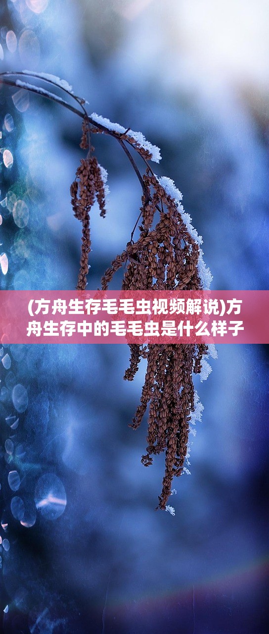 (明日守护者普通话国语下载)明日守护者普通话国语，守护未来的英勇力量