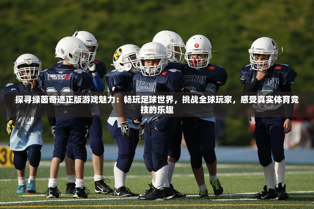 (机动战士高达:激战任务 代号妖精)代号妖精，神秘世界的探索与解析