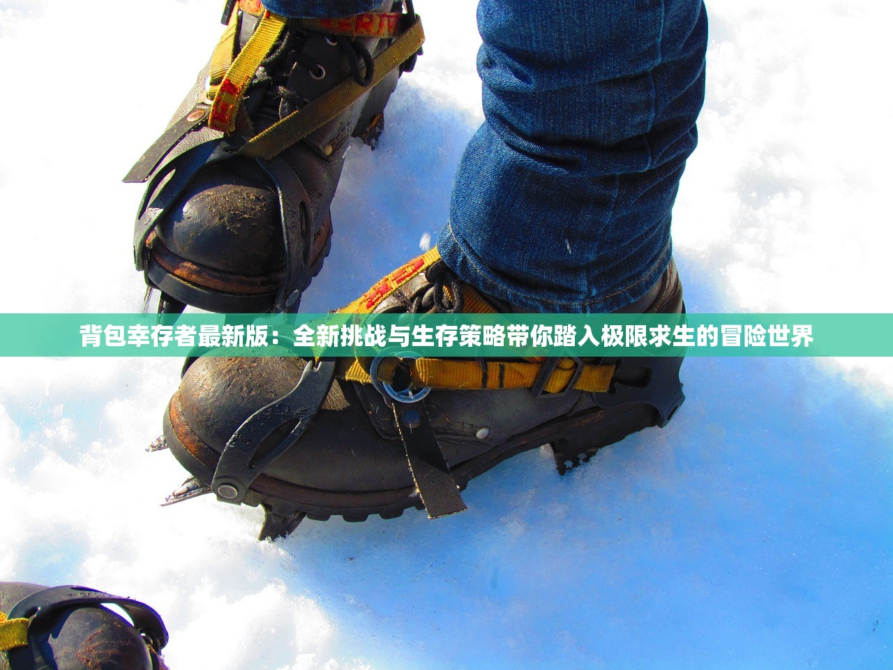 (九州飞凰录攻略)九洲飞凰录高级配方揭秘与探讨