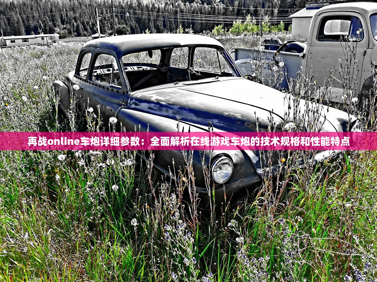 (花戎电视剧男女主是谁)花戎剧情深度解析与介绍