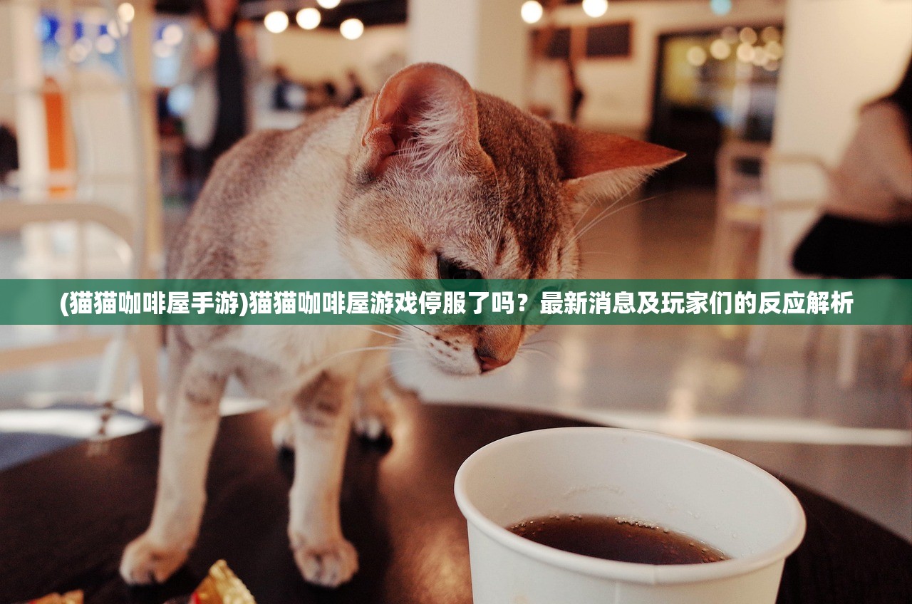 (骑马与砍杀无双三国任务攻略大全)骑马与砍杀无双三国任务攻略大全及常见问题解答