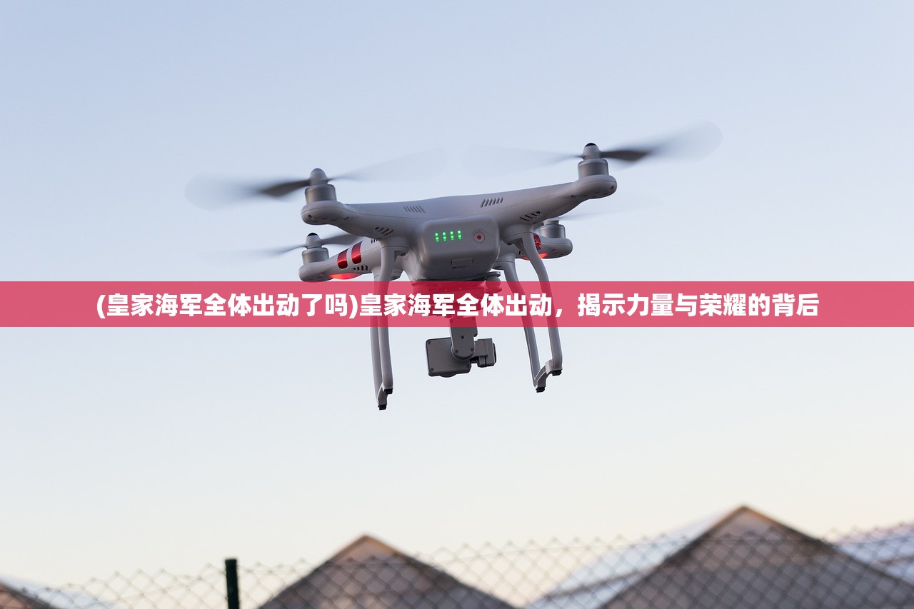 (大秦帝国英雄使用什么技能比较好用)大秦帝国英雄的最佳技能选择探讨