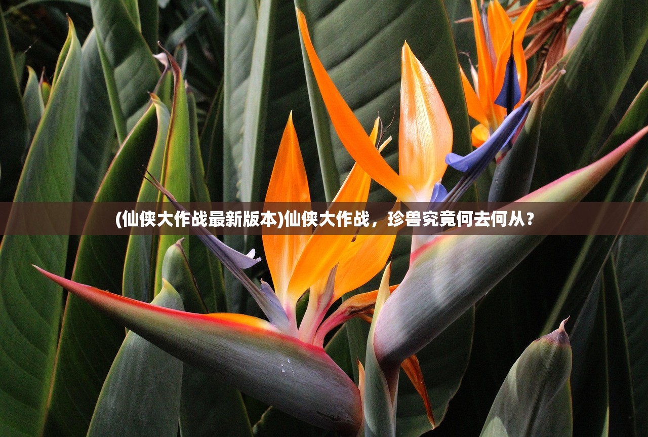 (青云仙剑诀手游官网)青云仙剑诀手游，探寻神秘仙侠世界的无尽魅力
