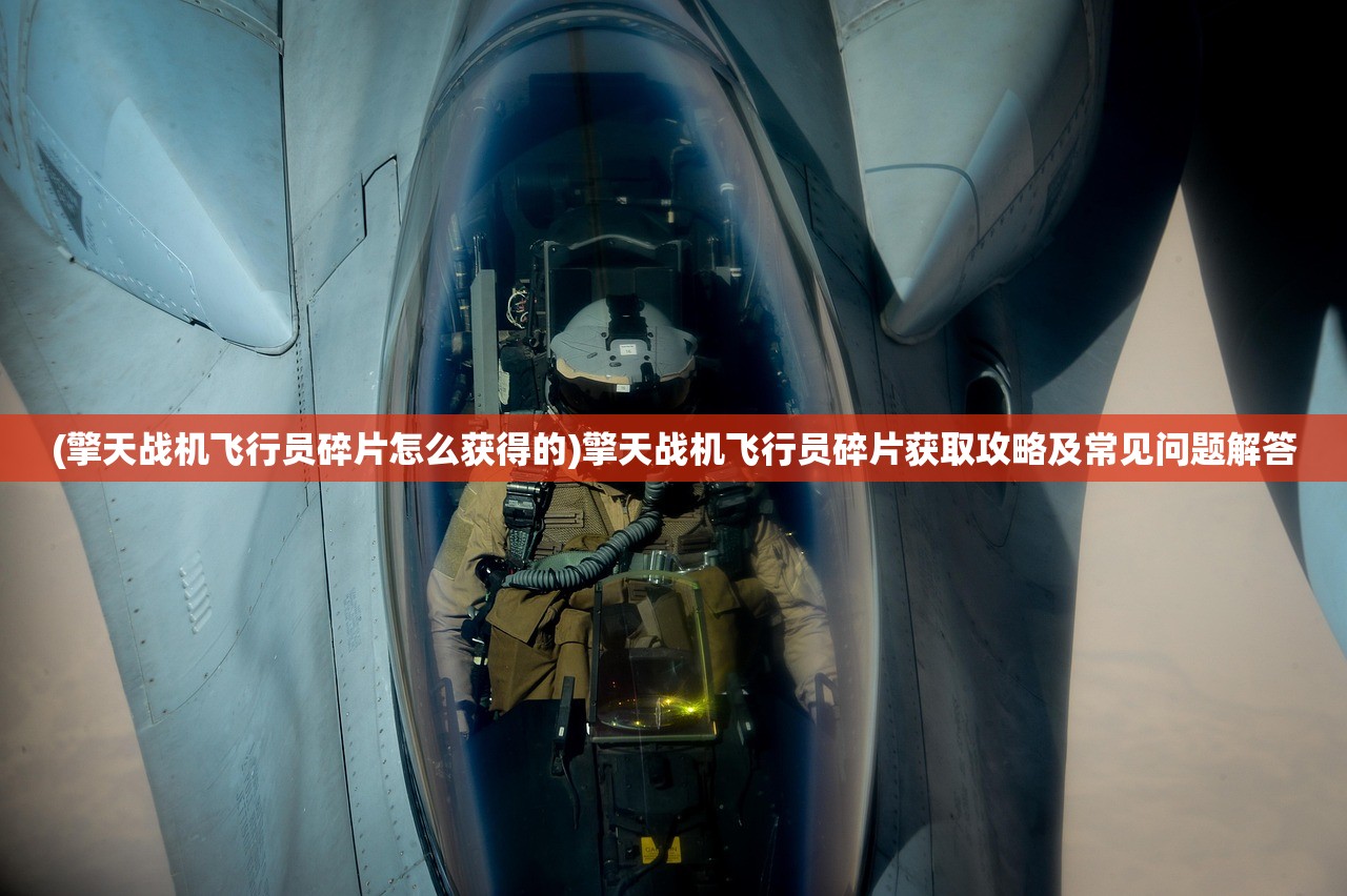 (极品芝麻官攻略全套)极品芝麻官攻略大全及常见问题解答
