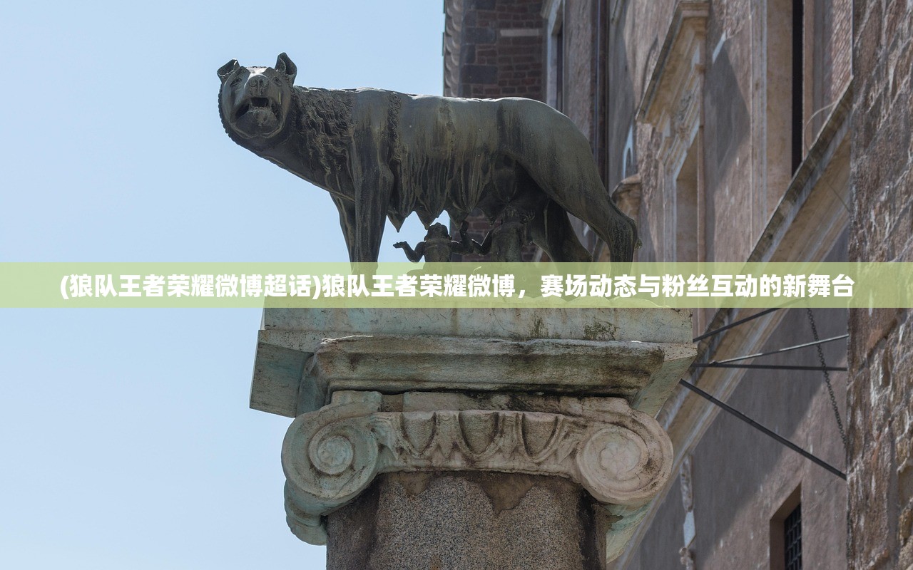 (铸仙之镜怎么重置角色属性)铸仙之镜角色重置完全指南