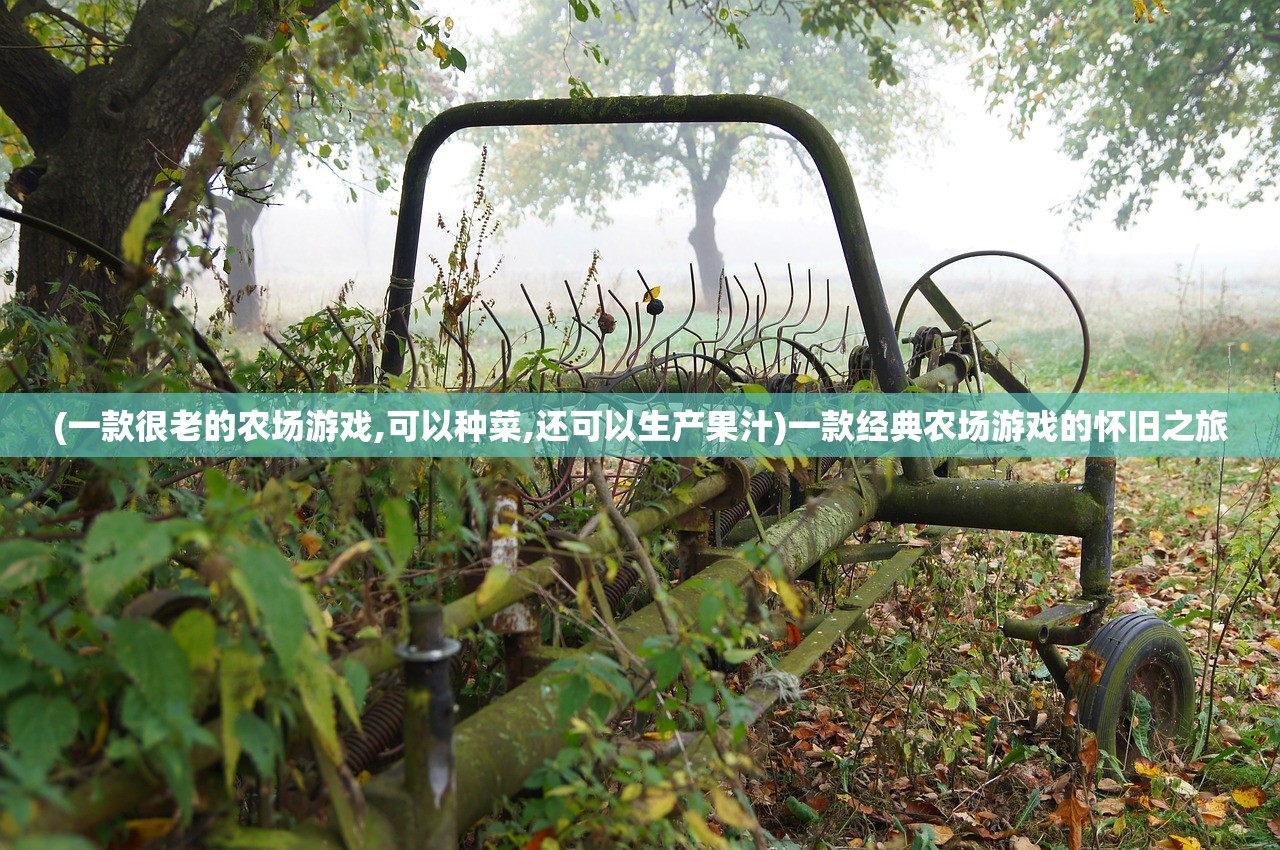 (四海仙妖记阵容搭配攻略)四海仙妖记，最佳阵容搭配策略