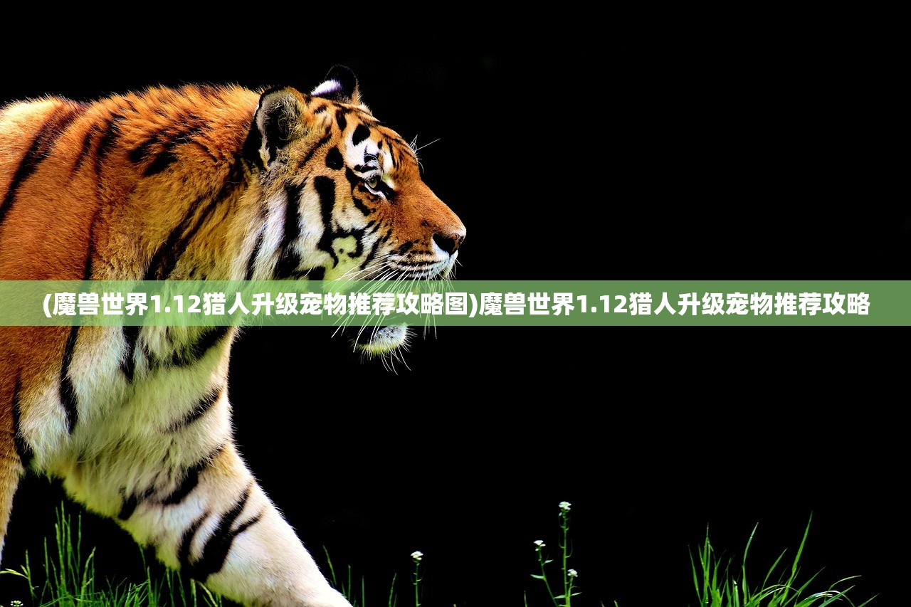 (爆裂魔女现在改名叫啥)在哪还能玩到爆裂魔女游戏？全面解析游戏获取渠道与攻略