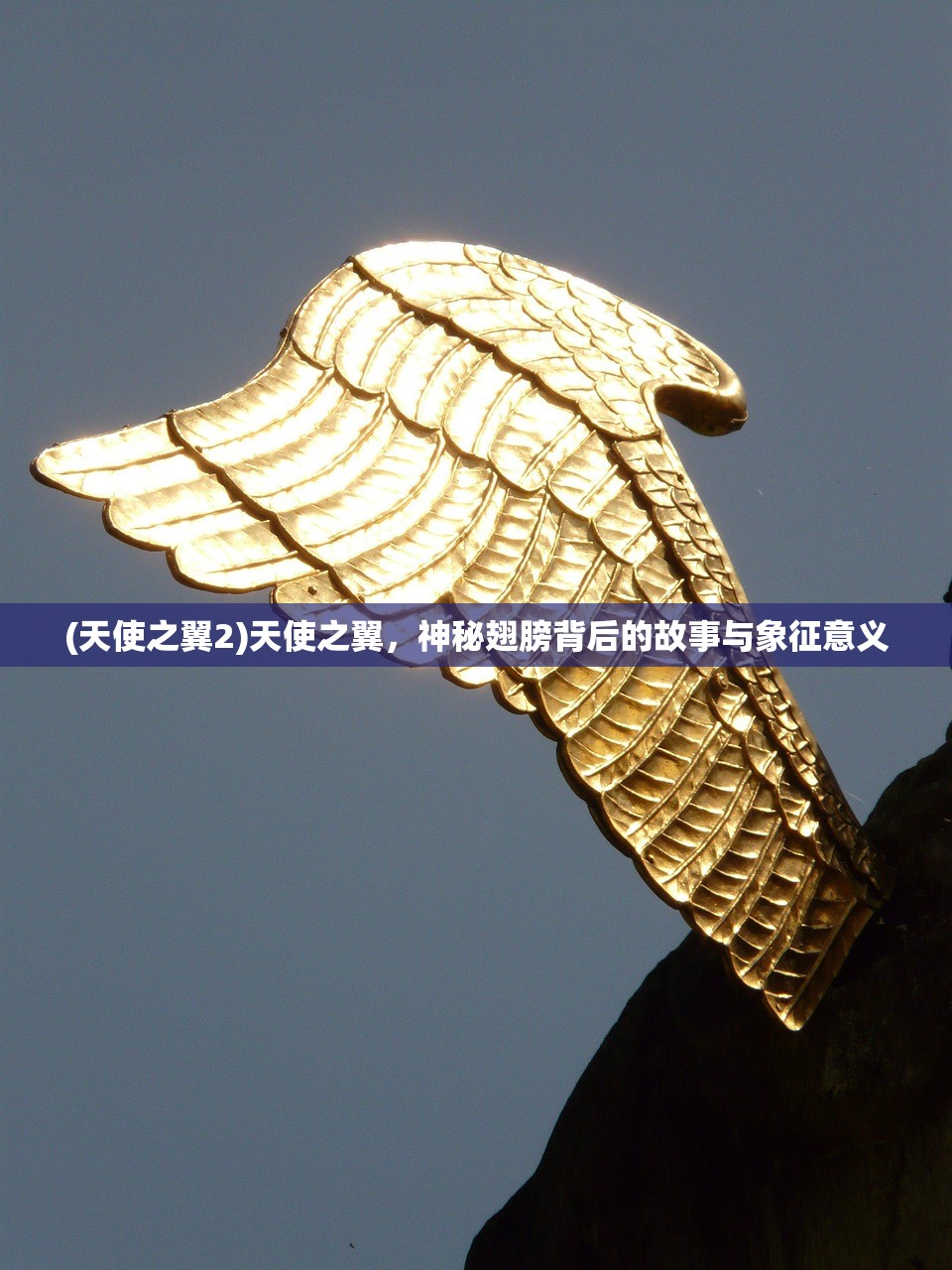 (军师联盟42集免费完整版在线观看)军师联盟，探寻42集免费完整版背后的故事与魅力
