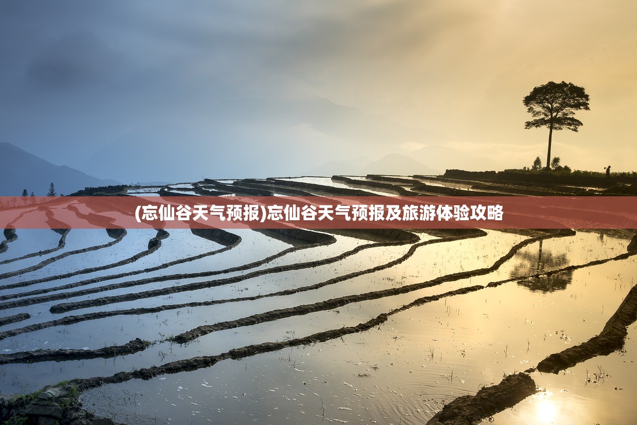 (我也是大侠为什么下架了呢)我也是大侠为何下架，深度探究与常见问题解答