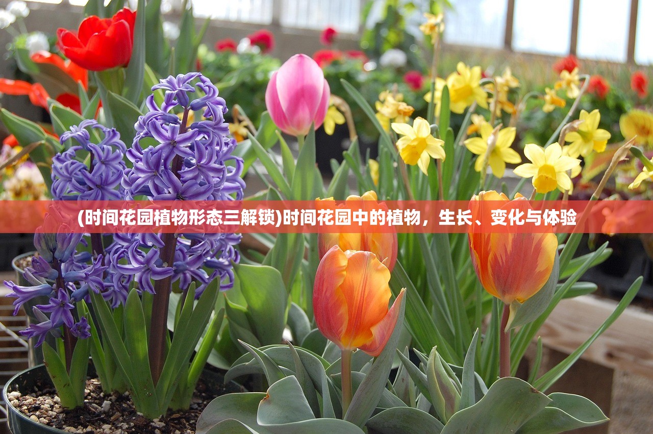 (躲猫猫变异下载)躲猫猫之躲避变异手机，一场科技与趣味的碰撞