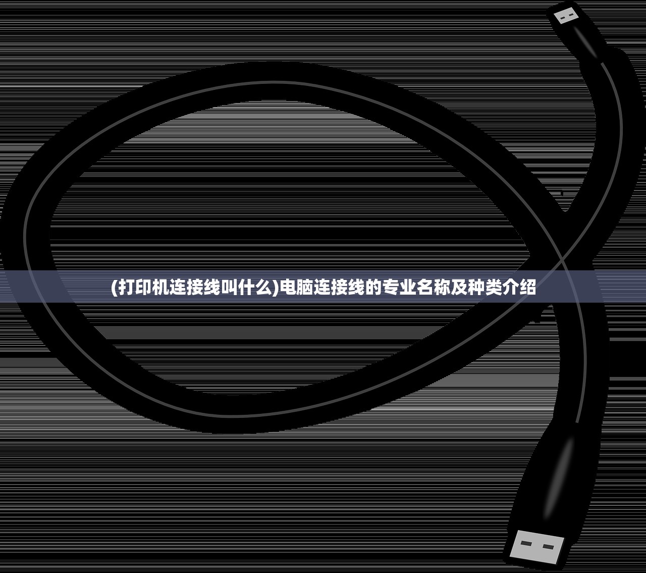 (战盟游戏)战盟游戏，深度分析与探索