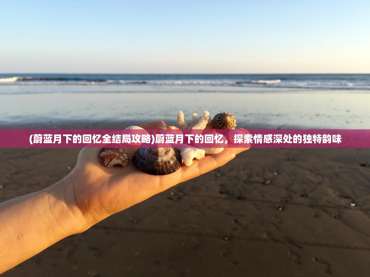 (霸王雄心为什么下架了呢)霸王雄心为何下架，深度探究其原因