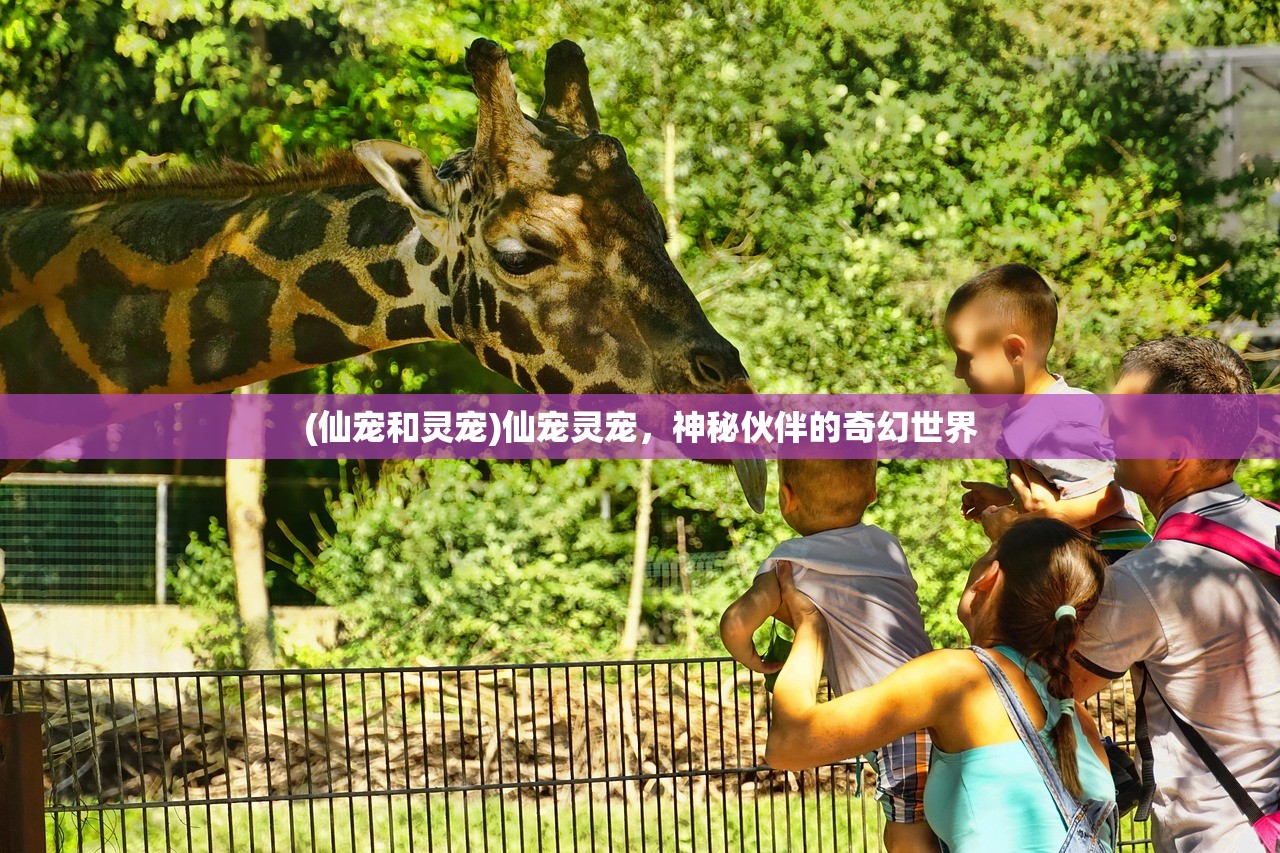 (塔塔英雄符文攻略最新)塔塔英雄符文，深度解析与策略应用