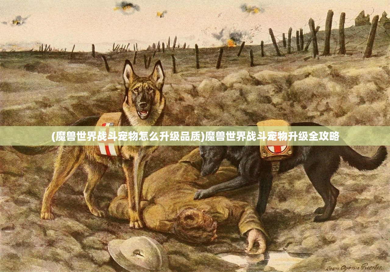 (活泼可爱古灵精怪是什么意思)古灵精怪的意思及其深层内涵解析