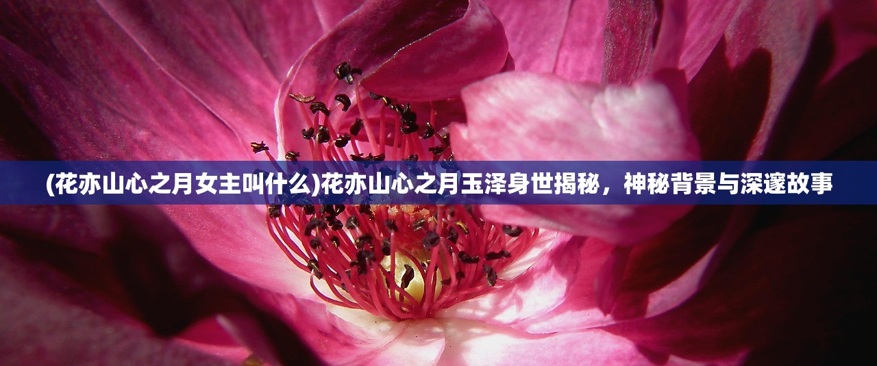 (三国战纪3七星转生)三国战纪3，深度解析与常见问题解答
