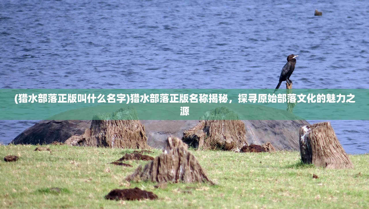 (mindustry如何采集水)Mindustry游戏中水的采集方法详解