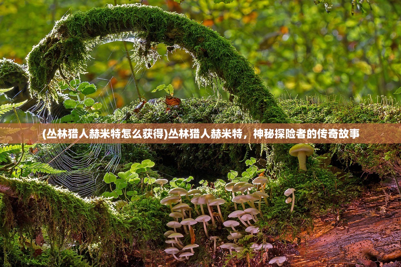 (宝可梦大师英文怎么说)宝可梦大师，深入解析游戏魅力与特色
