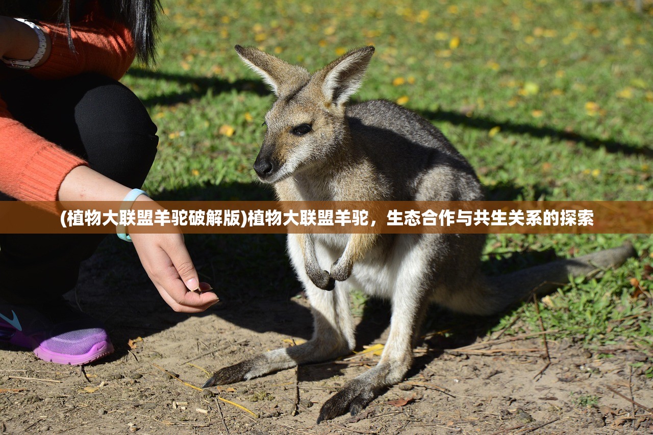 (上古洪荒是什么意思)上古洪荒的意思，探寻远古时代的神秘面纱