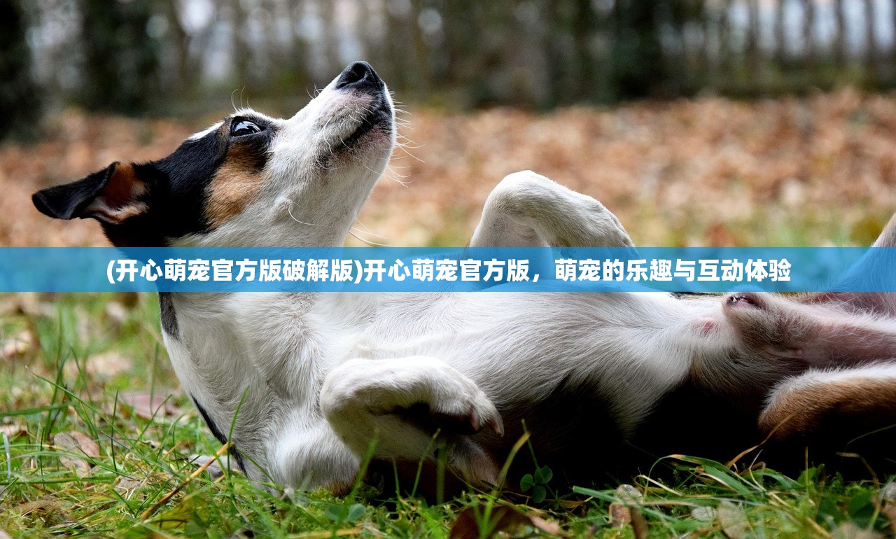 (舞台表演最高奖项是什么)最高舞台奖，探寻荣誉之巅的奥秘