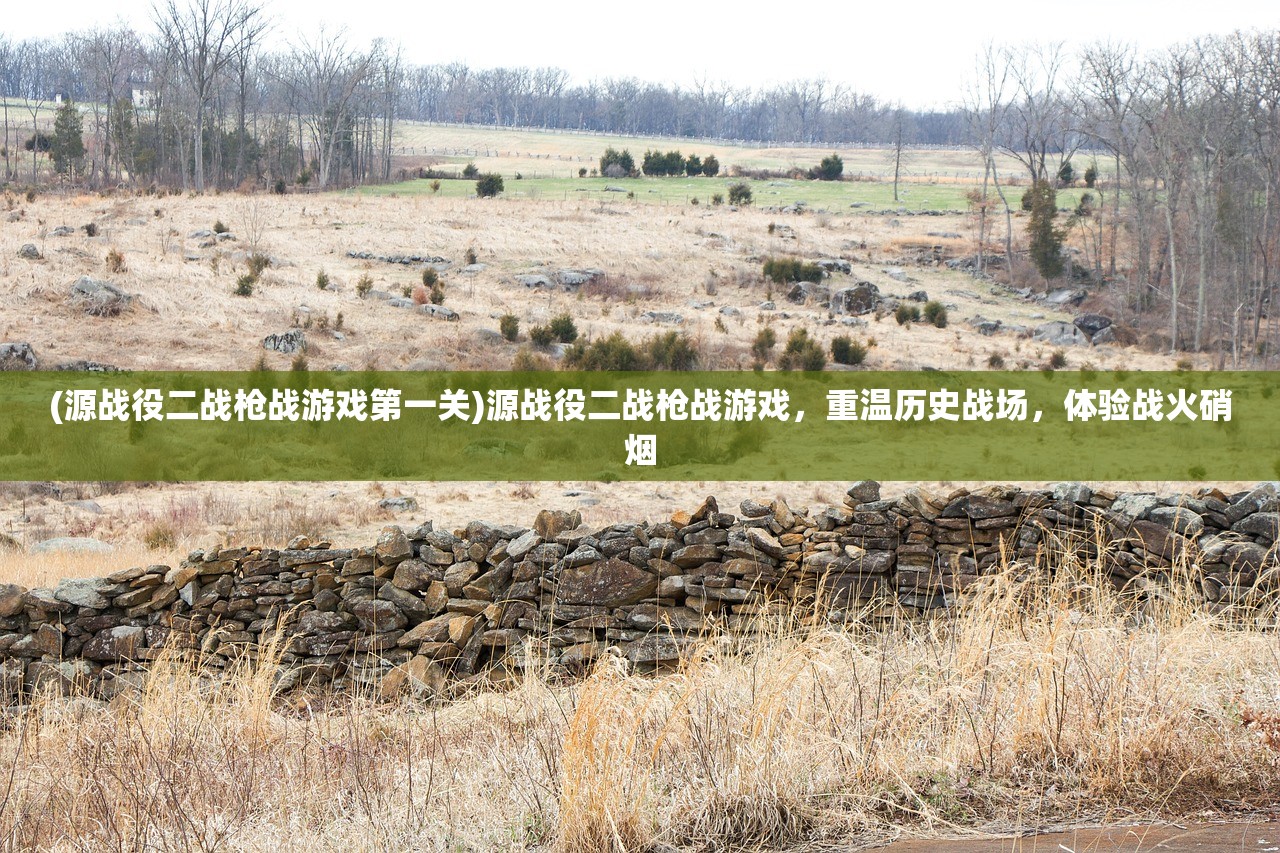 (墨剑江湖最强伙伴排名1000)墨剑江湖，最强伙伴排名TOP100及深度解析