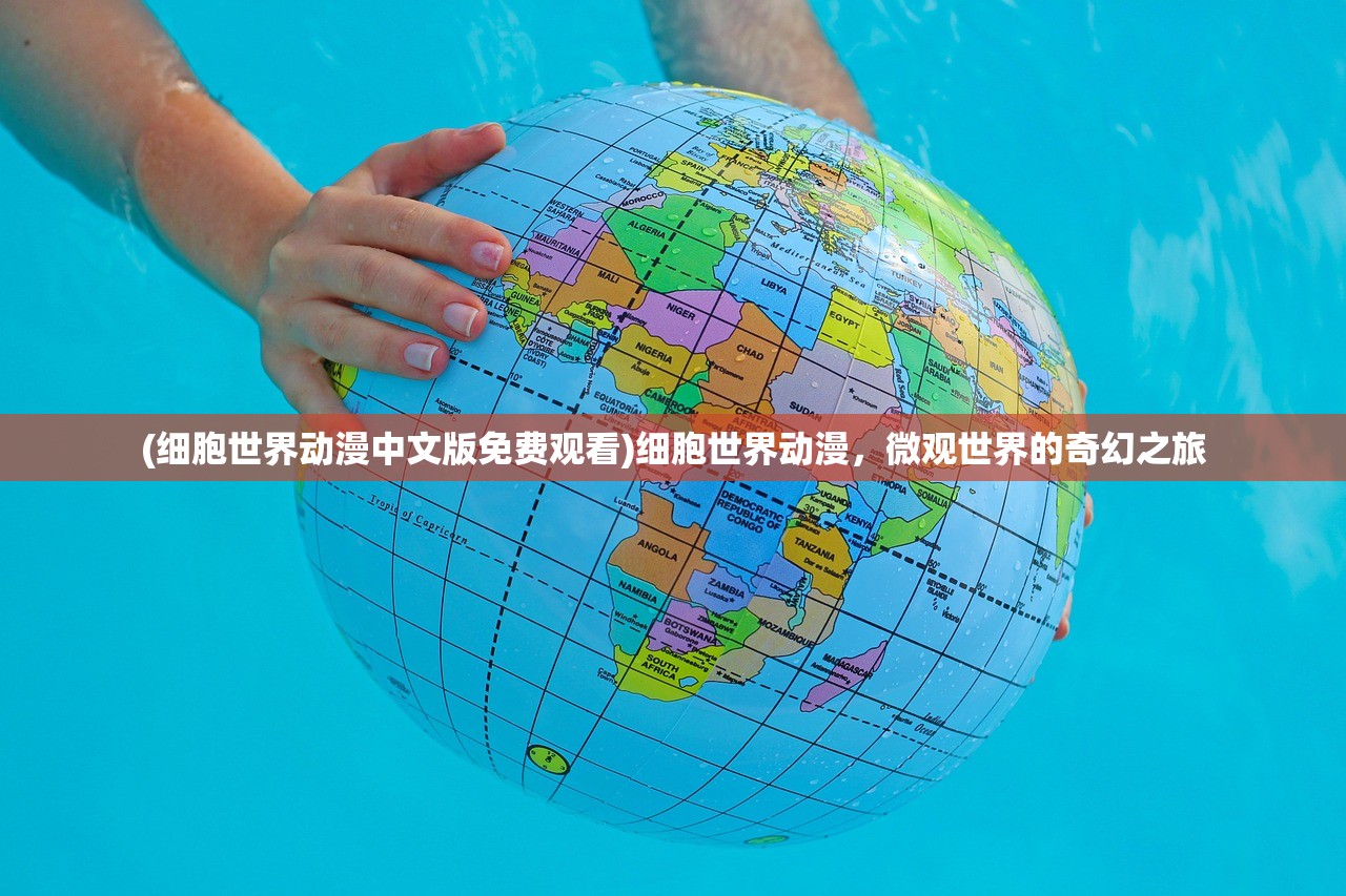 (迷你弓箭手宠物礼盒属性怎么选)迷你弓箭手宠物礼盒属性详解及常见问题解答
