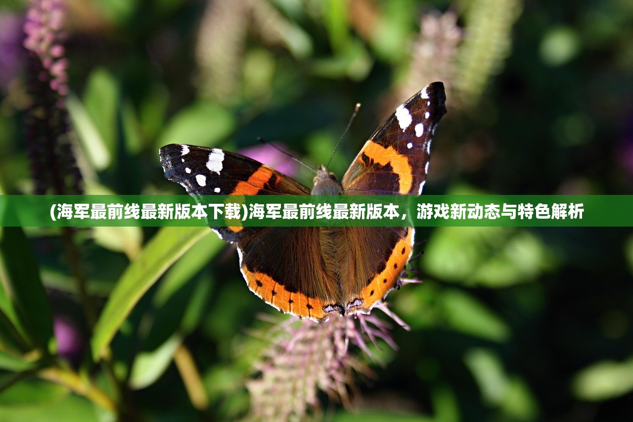 (境界刀鸣公测时间)境界刀鸣2024，最新消息与深度分析