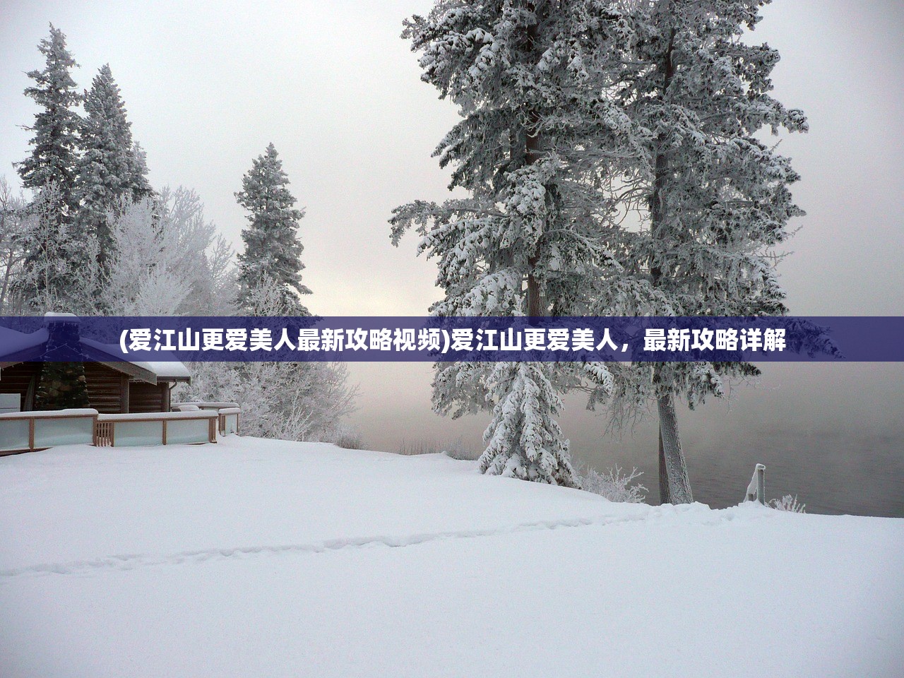 (荣耀与征服哪个角色好用)荣耀与征服，哪个角色更佳？深度解析与常见问答
