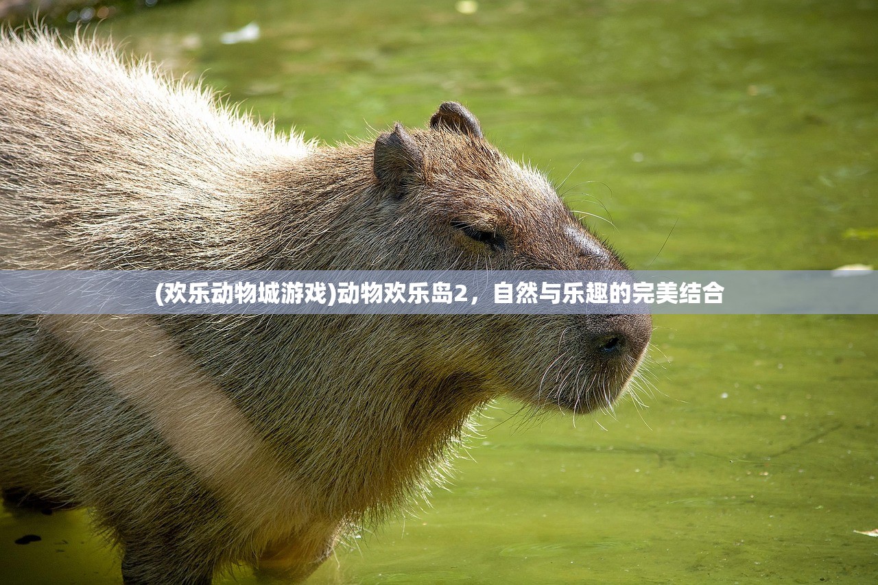 (烈焰横空生肖怎么弄的啊)烈焰横空生肖的独特制作方法与寓意解析