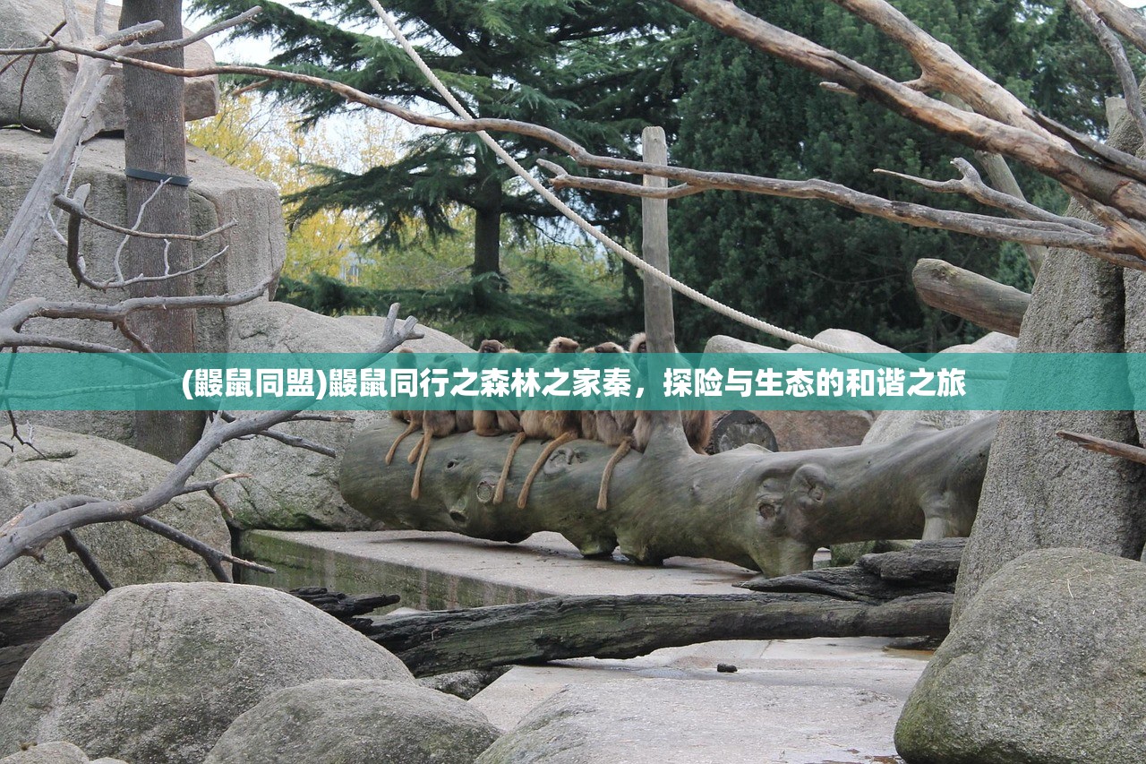 (海商王2自治港贸易攻略)海商王2自治港攻略详解及常见问题解答