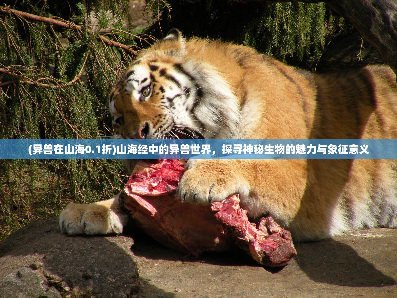 (永恒幻境游戏怎么玩)永恒幻境游戏，探索虚拟世界的无限魅力