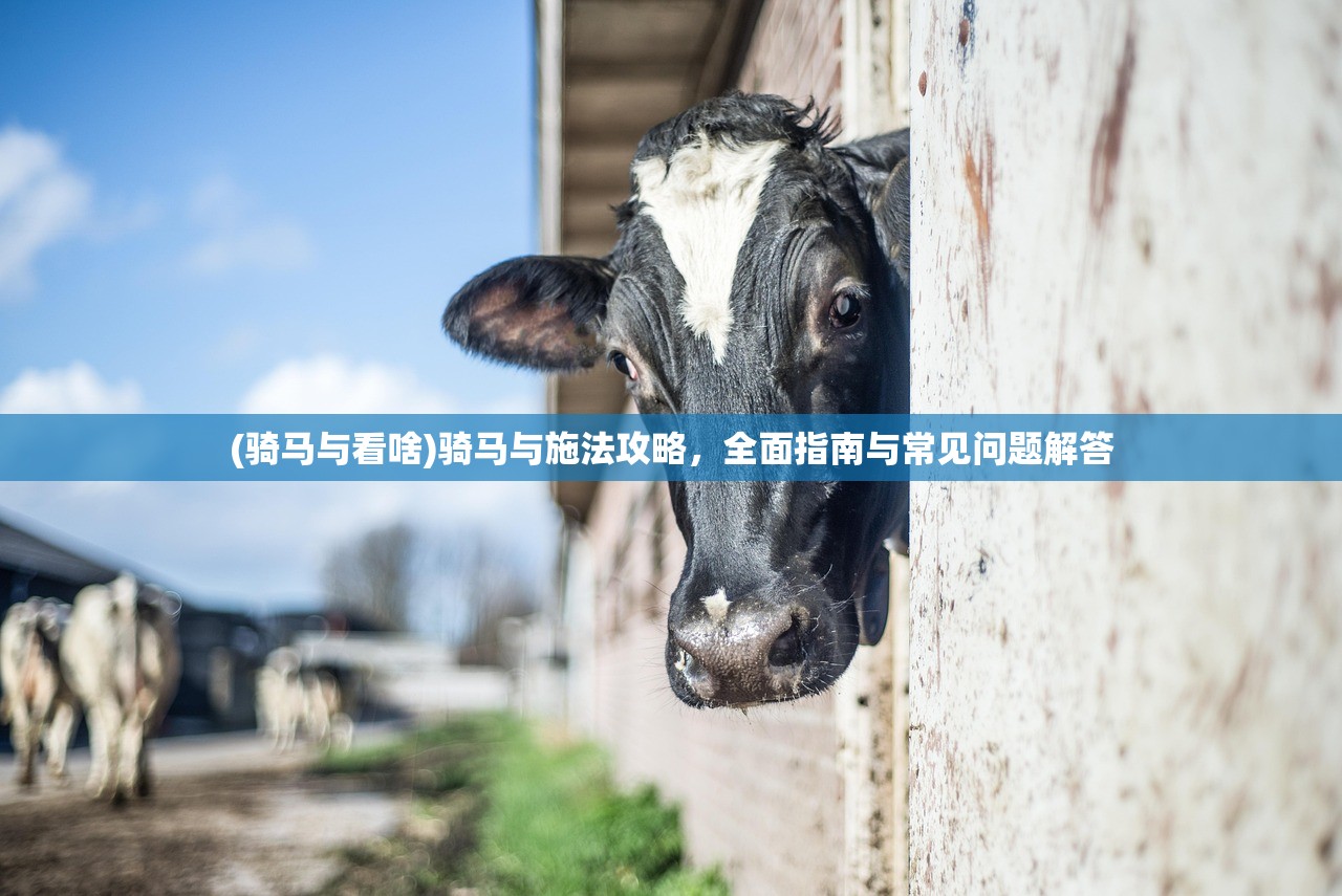 (御龙在天手游水战国战)御龙在天手游，水战之魅力与策略解析