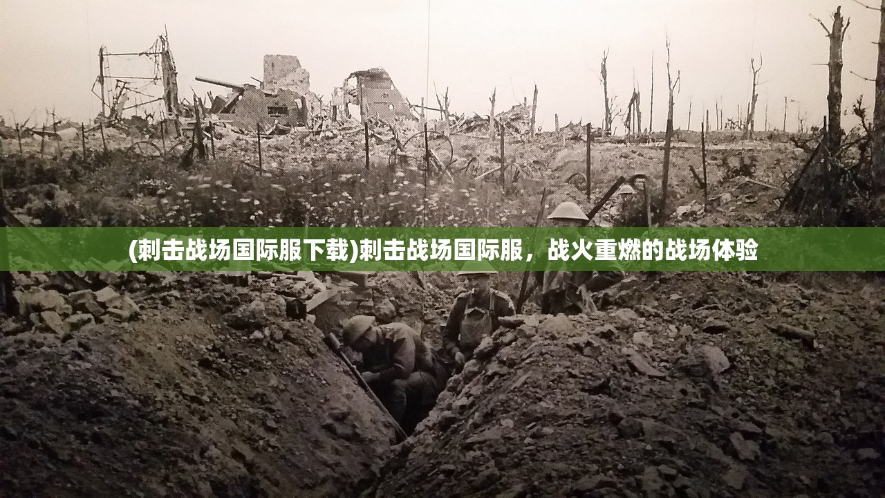 九畿岐风之旅与星铁，两款游戏有何异同？