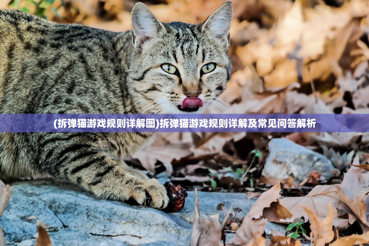 (潜行硬核行动下载)潜行硬核行动，深入探索与多维解析