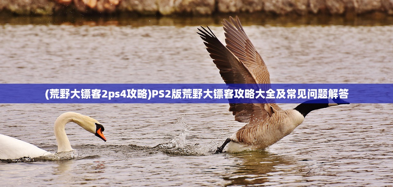 (凤凰重生就是涅槃的成语)凤凰重生，逆境中的辉煌重生与自我超越