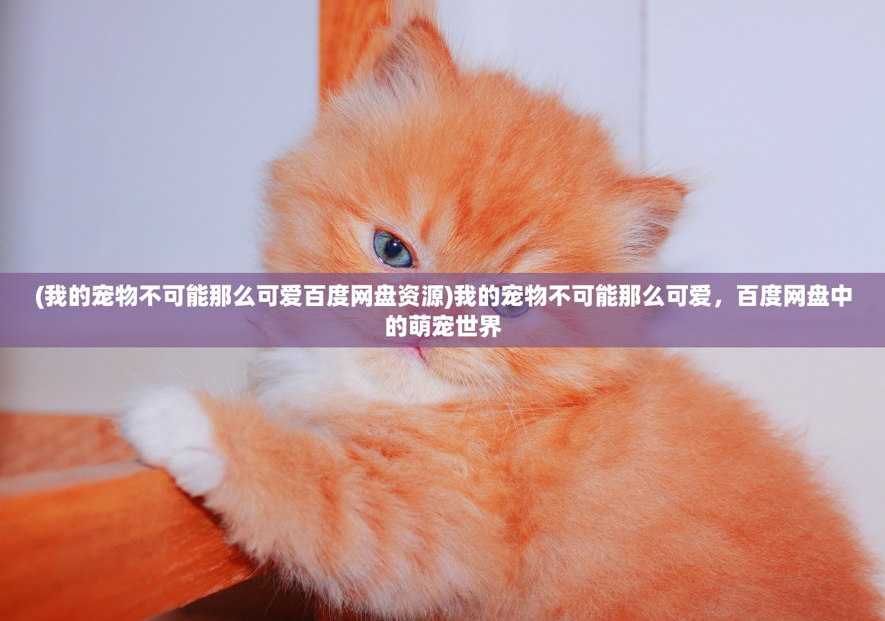 (喵喵甜品店活动入口在哪里)喵喵甜品店活动入口位置详解及常见问题解答