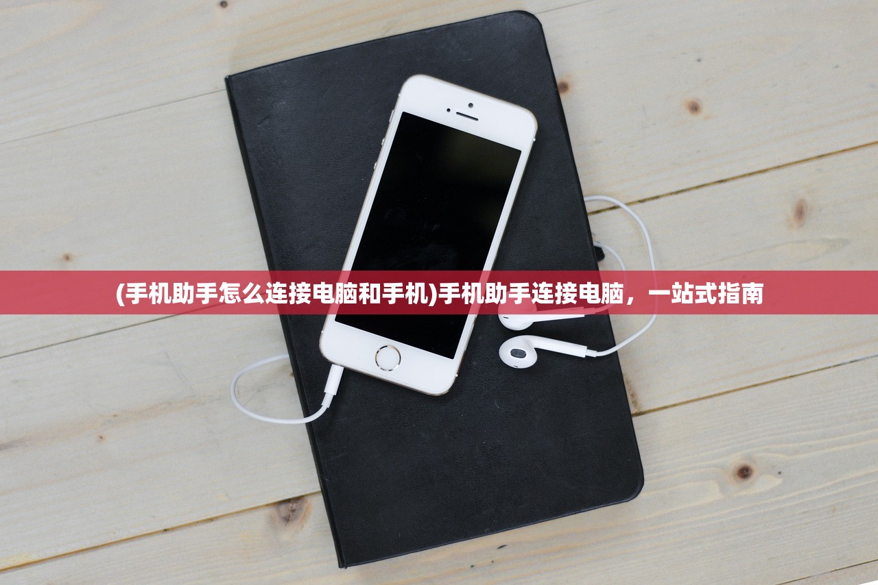 (喵喵甜品店活动入口在哪里)喵喵甜品店活动入口位置详解及常见问题解答