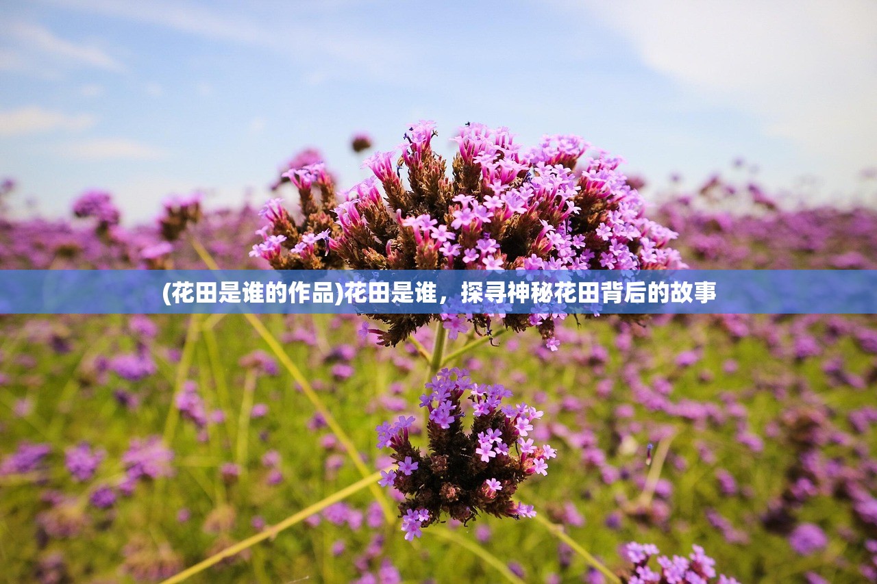 (永恒灵魂用什么账号登录好)永恒灵魂，账号登录方式详解及常见问题解答