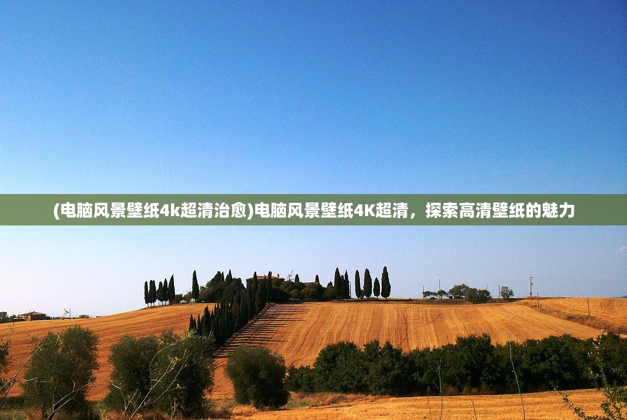 (追梦之旅河南专版卷子八上)追梦之旅河南专版卷子的探索之旅