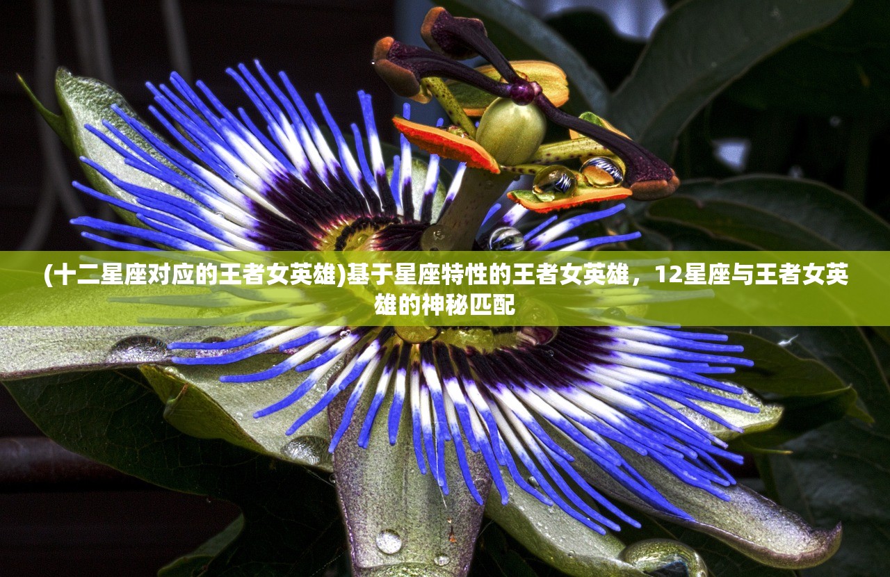 (王牌足球狙击手是谁)王牌足球狙击手，技艺与竞技的完美结合